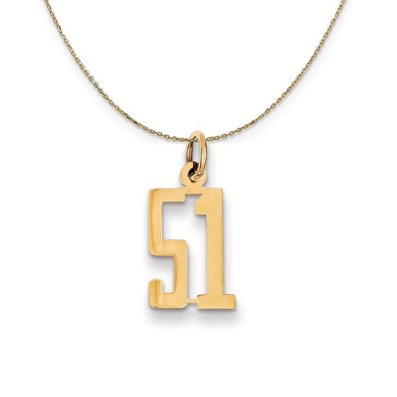 14k Yellow Gold, Alumni Small Elongated Number 51 Necklace...